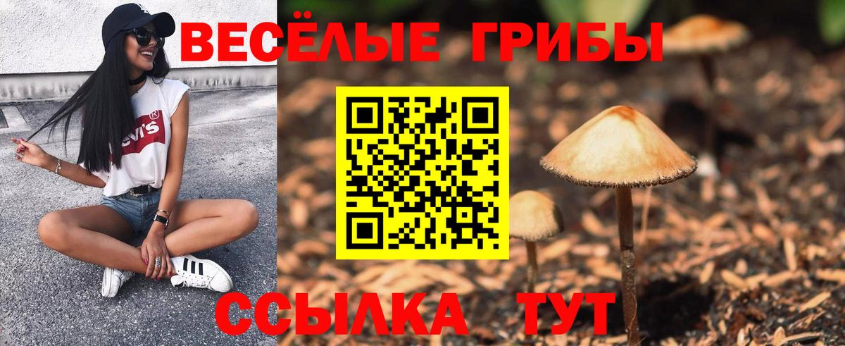 Галлюциногенные грибы Psilocybine cubensis  Вход с VPN  Миллерово  Псилоцибиновые грибы ЛСД 