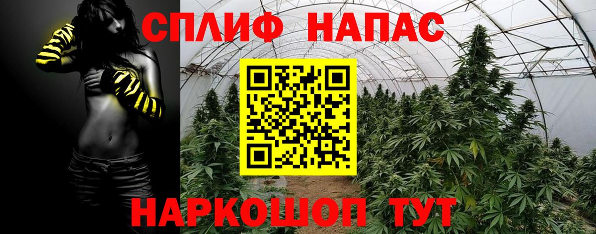Бошки Шишки план Миллерово